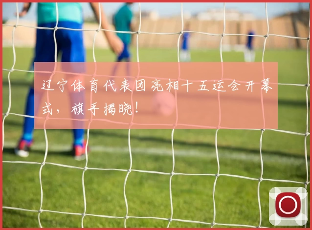 辽宁体育代表团亮相十五运会开幕式，旗手揭晓！