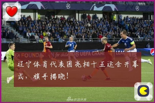 辽宁体育代表团亮相十五运会开幕式，旗手揭晓！