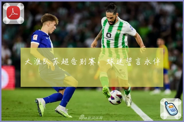 大淮队苏超告别赛,球迷誓言永伴